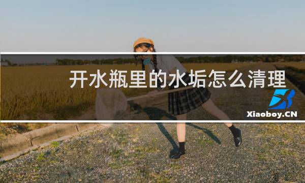开水瓶里的水垢怎么清理 - 热水瓶内胆里的水垢怎么去除
