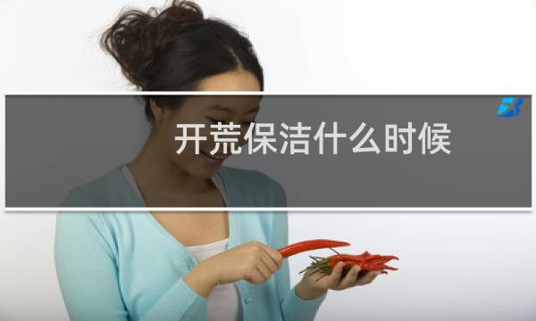 开荒保洁什么时候 - 什么时候开始做开荒保洁