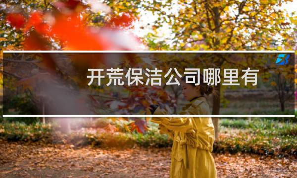 开荒保洁公司哪里有 - 开荒保洁接单平台