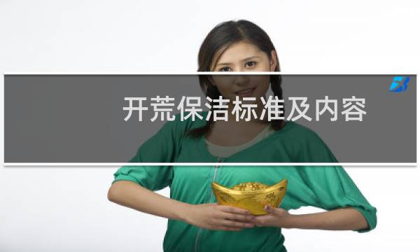 开荒保洁标准及内容 - 新大楼开荒保洁要求