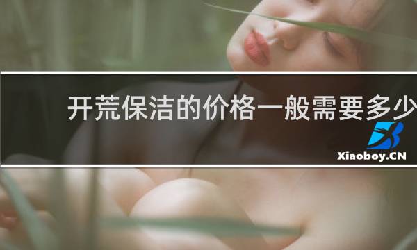 开荒保洁的价格一般需要多少 - 开荒保洁前安马桶吗