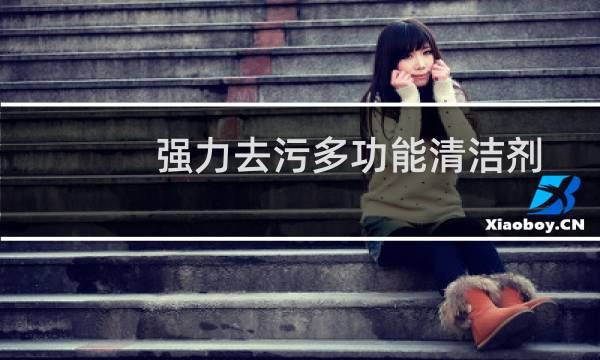 强力去污多功能清洁剂 - 慧霖2号全能清洁剂成分