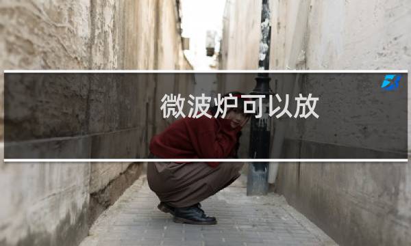 微波炉可以放 - 微波炉四周可以放东西吗