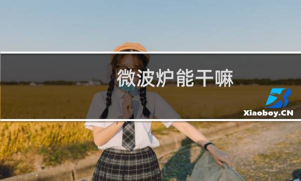 微波炉能干嘛 - 微波炉一般用来干什么