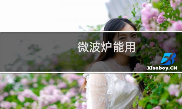 微波炉能用 - 现在有人用微波炉吗