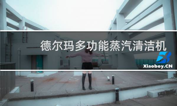 德尔玛多功能蒸汽清洁机 - 德尔玛蒸汽清洁机绿灯不亮