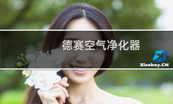 德赛空气净化器 - desay空气净化器