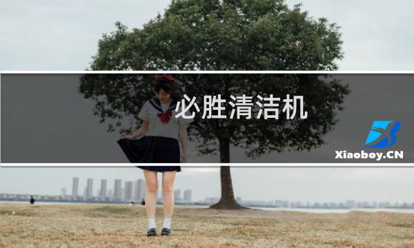 必胜清洁机 - 必胜洗地机包装