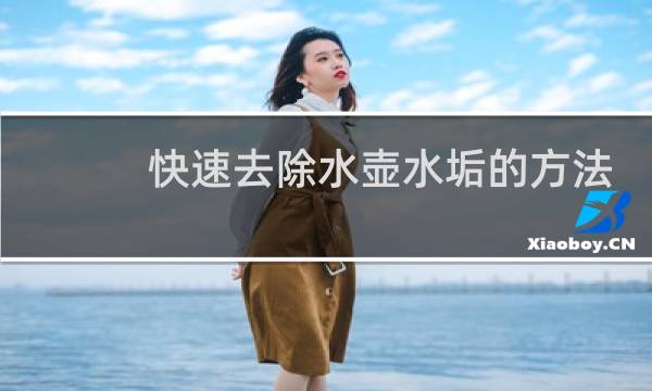 快速去除水壶水垢的方法 - 怎样快速去除烧水壶里的水垢
