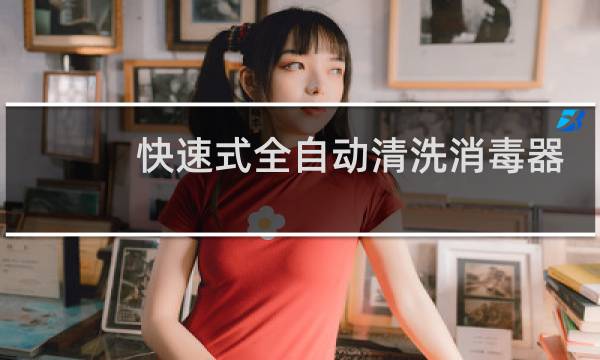 快速式全自动清洗消毒器 - 医用全自动清洗消毒器进口