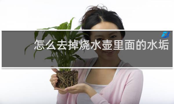 怎么去掉烧水壶里面的水垢 - 烧水壶怎么去水垢最快