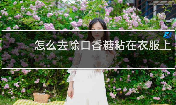 怎么去除口香糖粘在衣服上 - 衣服上口香糖怎么洗掉