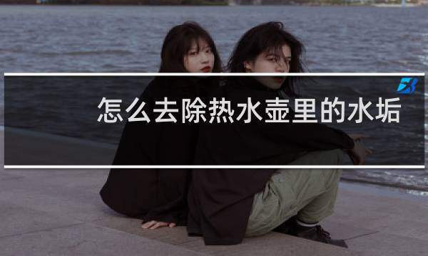 怎么去除热水壶里的水垢 - 烧水壶怎样去水垢最简单方法