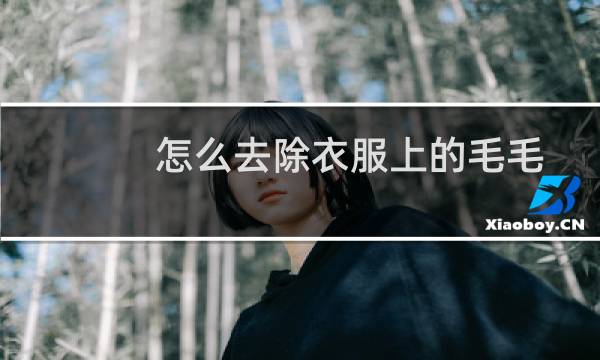 怎么去除衣服上的毛毛 - 如何去除衣服上的毛絮