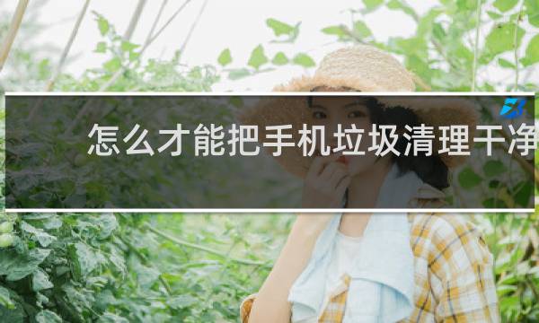 怎么才能把手机垃圾清理干净 - 手机如何彻底清理垃圾