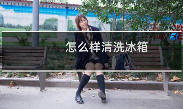 怎么样清洗冰箱 - 小苏打洗冰箱的正确方法