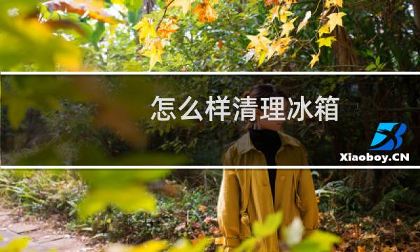 怎么样清理冰箱 - 冰箱怎么清理干净还快