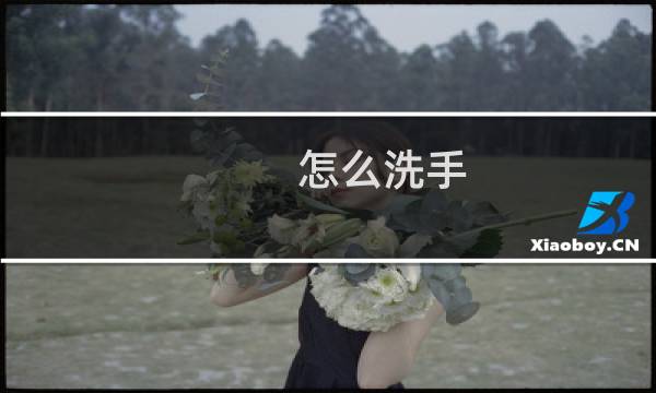 怎么洗手 - 怎么快速洗手