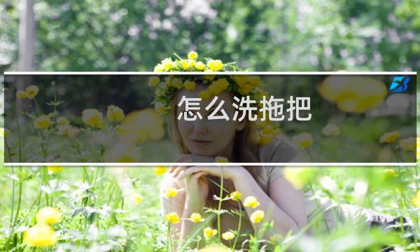 怎么洗拖把 - 大排拖把怎样清洗
