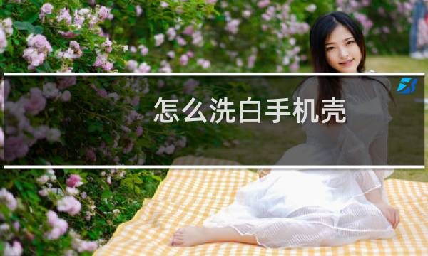 怎么洗白手机壳 - 手机壳发黄了怎么洗白