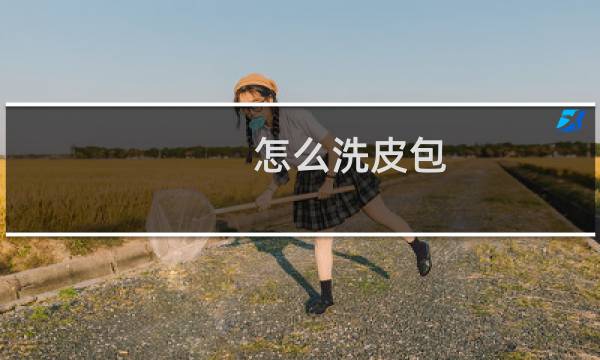 怎么洗皮包 - 皮包怎么清洗方法