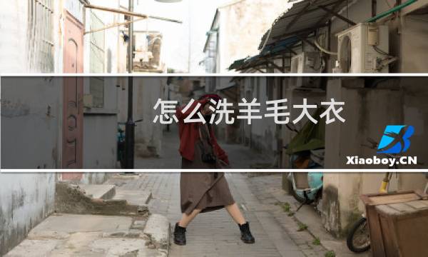 怎么洗羊毛大衣 - 羊毛大衣用什么洗最好