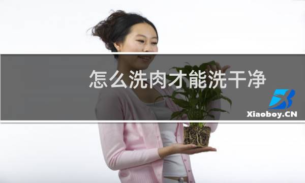 怎么洗肉才能洗干净 - 怎样洗干净