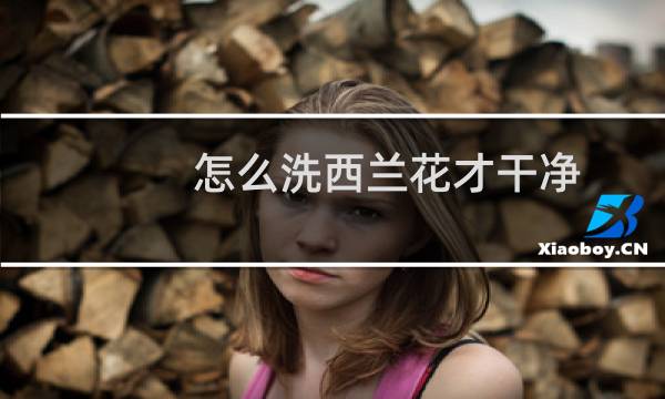 怎么洗西兰花才干净 - 西兰花正确清洗方法