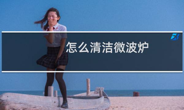 怎么清洁微波炉 - 微波炉怎么清洗比较好