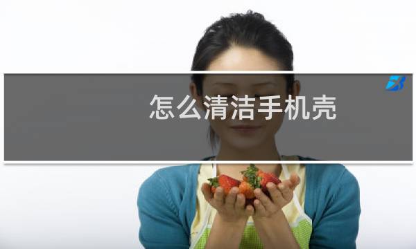 怎么清洁手机壳 - 手机壳可以用洗洁精洗吗