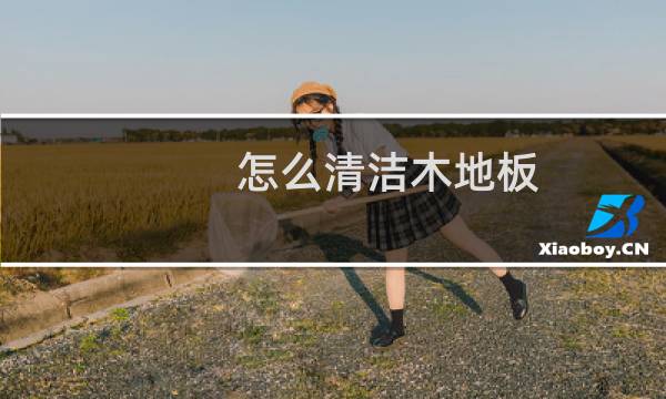 怎么清洁木地板 - 装了木地板后悔死了
