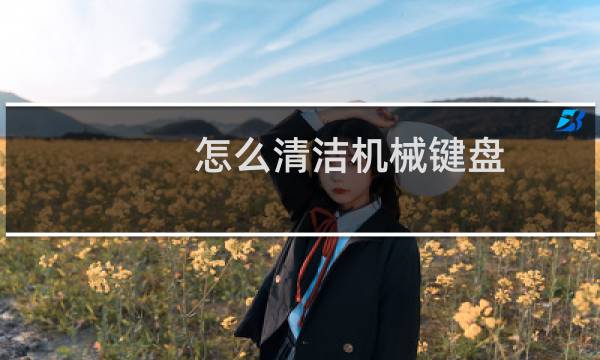 怎么清洁机械键盘 - 机械键盘怎么清灰尘