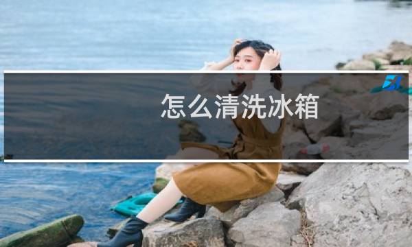 怎么清洗冰箱 - 冰箱怎样清洗才干净杀菌