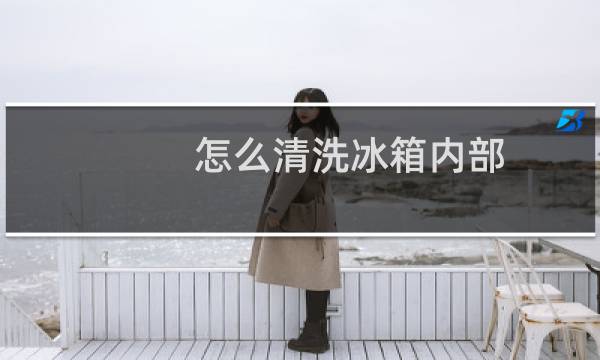 怎么清洗冰箱内部 - 冰箱内部清洁