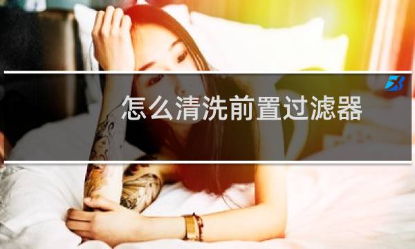 怎么清洗前置过滤器 - 前置过滤器两年没清洗