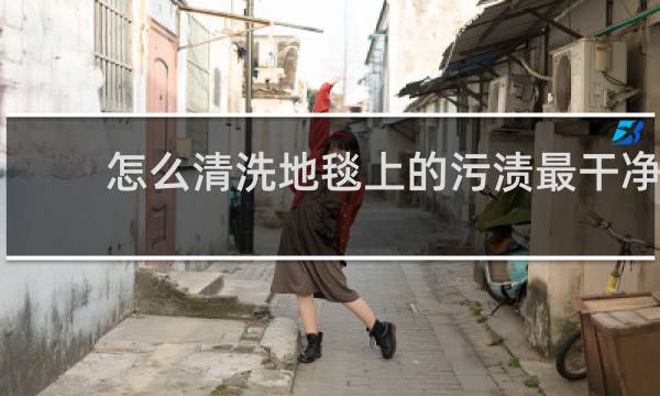 怎么清洗地毯上的污渍最干净 - 地毯太脏了用什么方法清洗呀