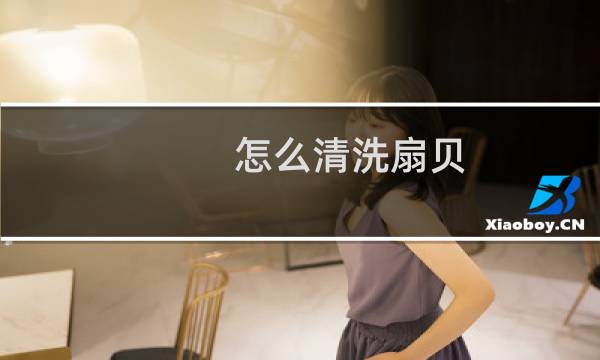 怎么清洗扇贝 - 生蚝扇贝怎么洗