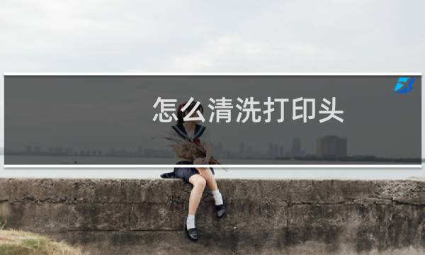怎么清洗打印头 - hp墨盒喷头清洗图解