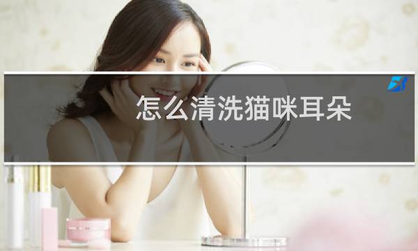 怎么清洗猫咪耳朵 - 怎么清理耳朵