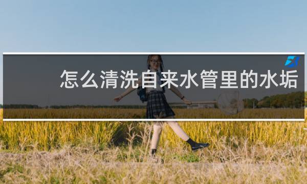 怎么清洗自来水管里的水垢 - 自来水管除垢