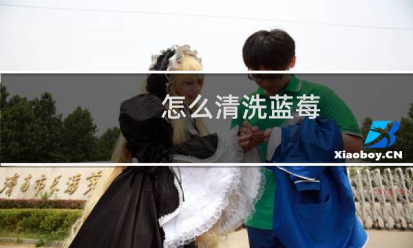 怎么清洗蓝莓 - 蓝莓泡盐水出来好多虫子