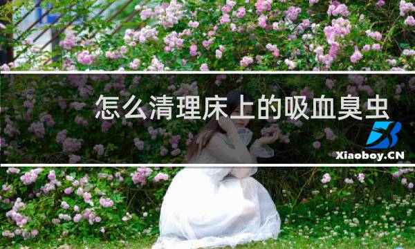 怎么清理床上的吸血臭虫 - 床上有吸血臭虫怎么全部消灭