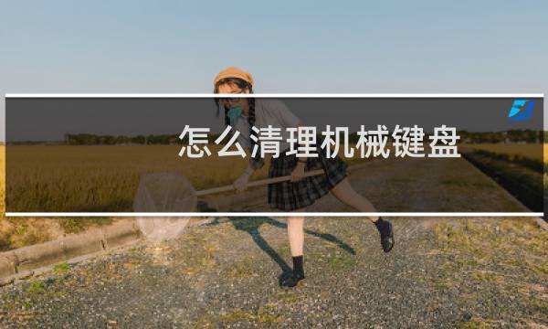 怎么清理机械键盘 - 机械键盘缝隙里很脏怎么清理