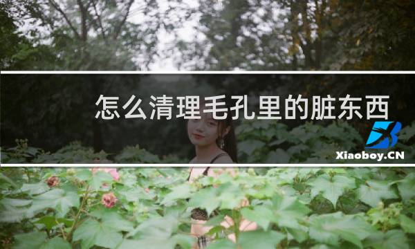 怎么清理毛孔里的脏东西 - 怎么清洗脸上毛孔里的脏东西