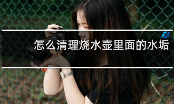 怎么清理烧水壶里面的水垢 - 怎么清洗热水壶里面的水垢?
