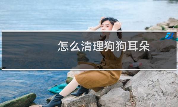 怎么清理狗狗耳朵 - 可以给幼犬用婴儿湿巾吗