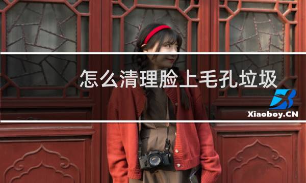 怎么清理脸上毛孔垃圾 - 怎样去除毛孔里的垃圾