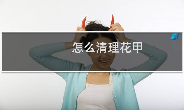 怎么清理花甲 - 如果清洗花甲