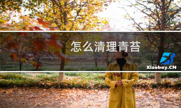 怎么清理青苔 - 地面青苔怎么永久清除