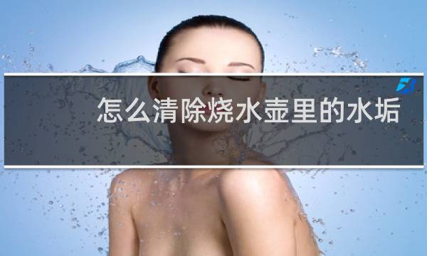 怎么清除烧水壶里的水垢 - 水壶里的水垢应该怎么去除